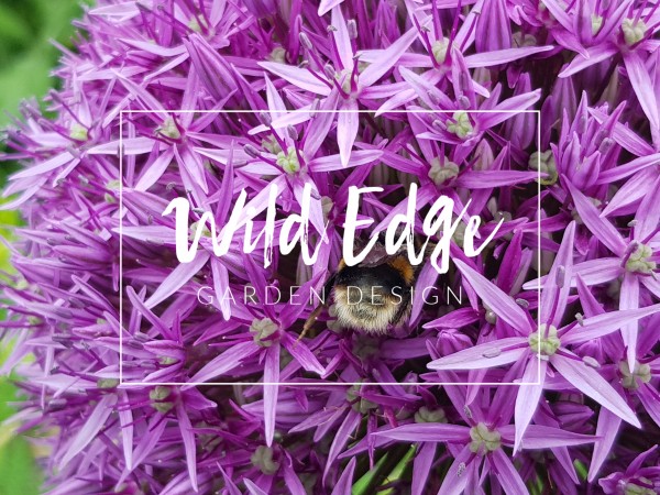Wild Edge Garden Design   Logo with Allium